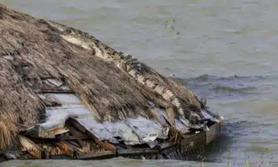 Les crocodiles s'invitent chez les Kényans à mesure que les lacs montent