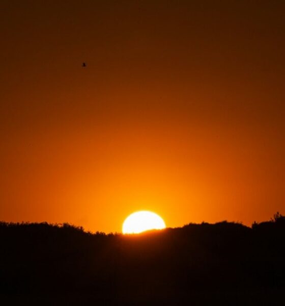 La France n'en finit plus de suffoquer sous un été de tous les records