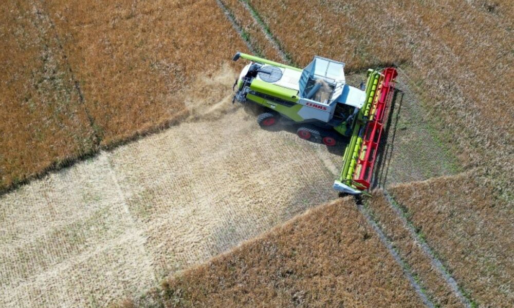 La sécheresse allemande assèche les champs et fait plonger les récoltes de céréales