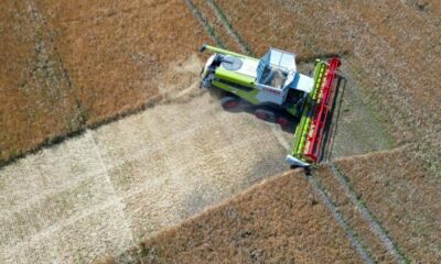 La sécheresse allemande assèche les champs et fait plonger les récoltes de céréales