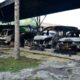 Le sud de la Thaïlande touché par 51 incendies volontaires en une seule nuit