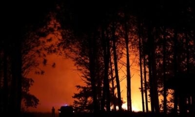 Les forêts européennes s'embrasent partout à la fois