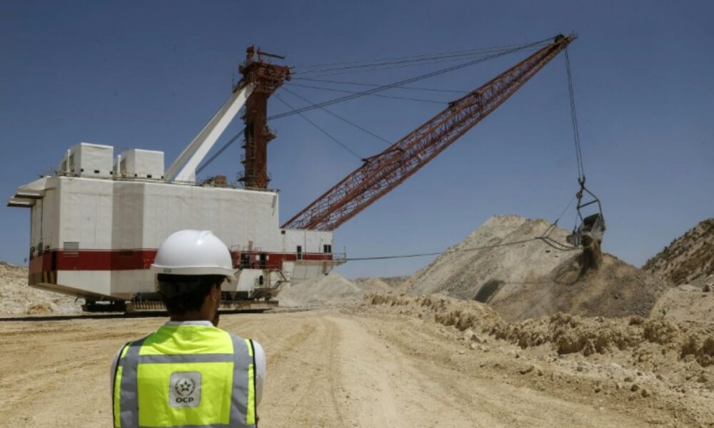 Le trésor phosphate du Maroc à l’épreuve du cadmium européen