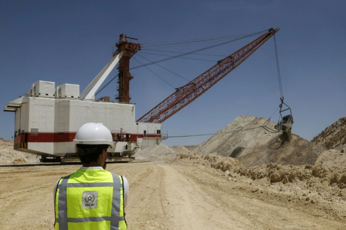 Le trésor phosphate du Maroc à l’épreuve du cadmium européen