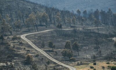 L'addition des incendies retombe lourdement sur les mairies