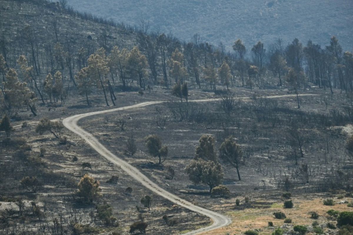 L'addition des incendies retombe lourdement sur les mairies