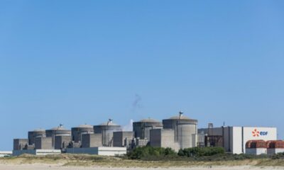 Des méduses provoquent l'arrêt de trois réacteurs nucléaires à Gravelines