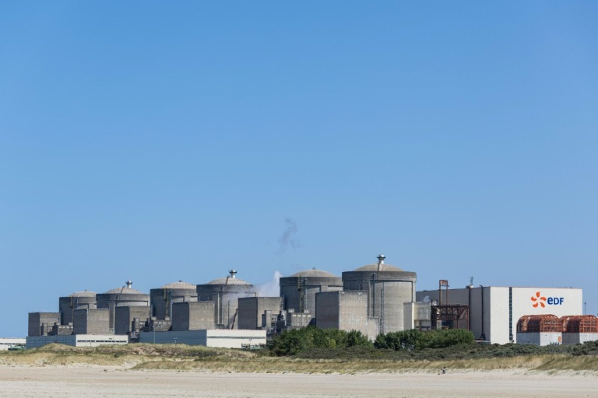 Des méduses provoquent l'arrêt de trois réacteurs nucléaires à Gravelines
