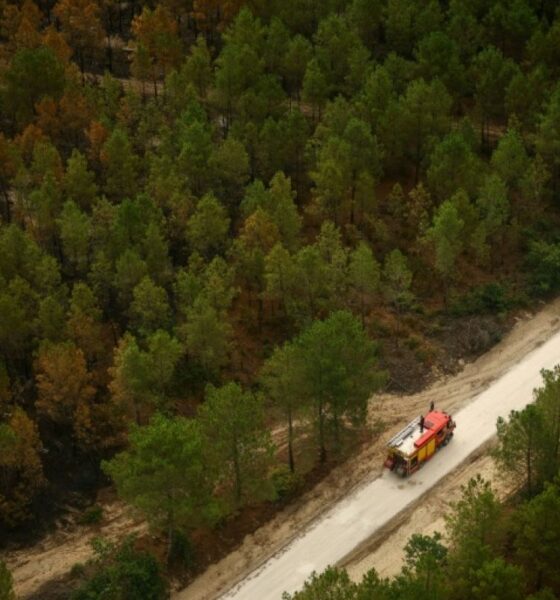 La Gironde repasse en vigilance rouge pour les incendies