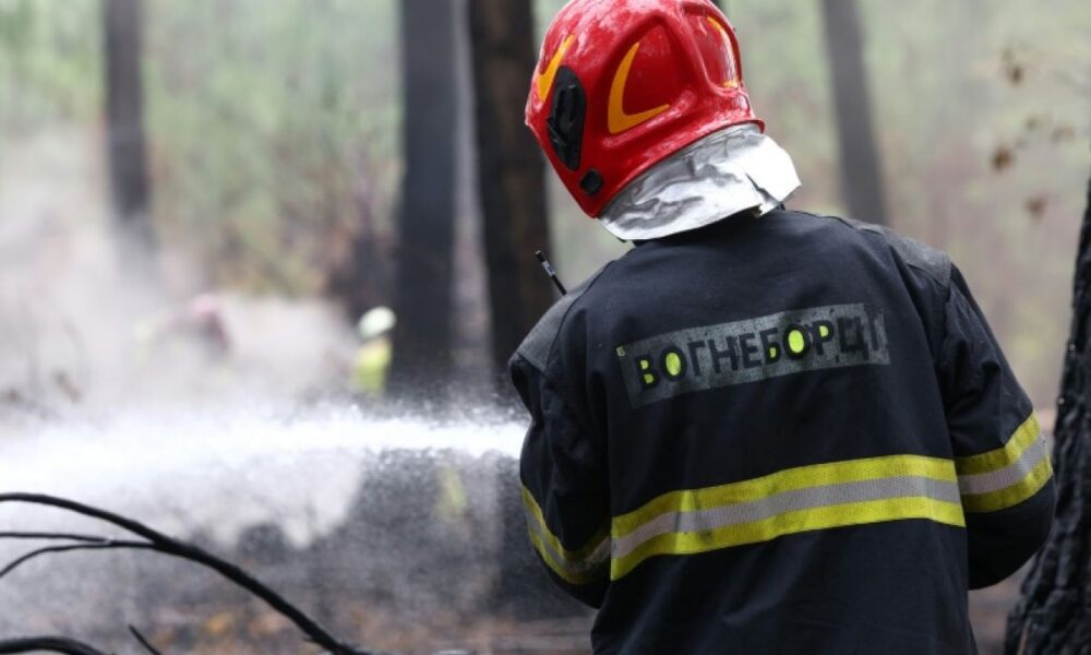 Les pompiers ukrainiens roulent 52 heures pour sauver la forêt de Gironde