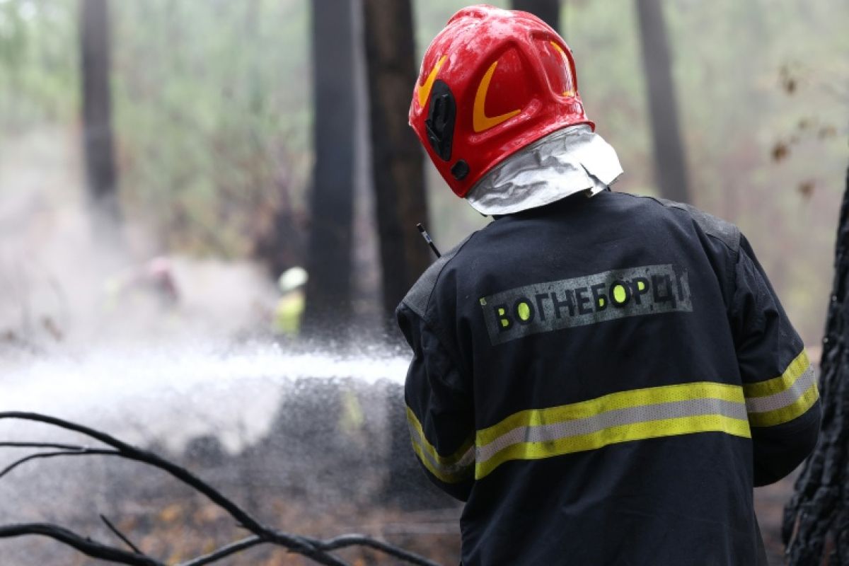 Les pompiers ukrainiens roulent 52 heures pour sauver la forêt de Gironde