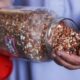 Gaza sauve ses graines traditionnelles sous une tente de fortune