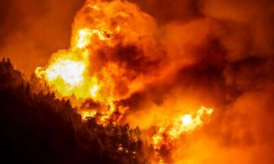 Nuit d'enfer sur la côte croate dévastée par les flammes