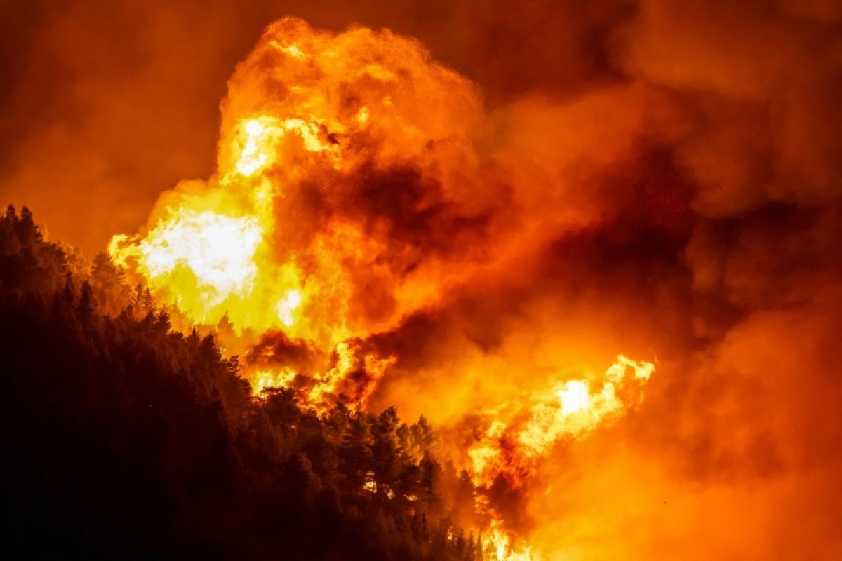 Nuit d'enfer sur la côte croate dévastée par les flammes