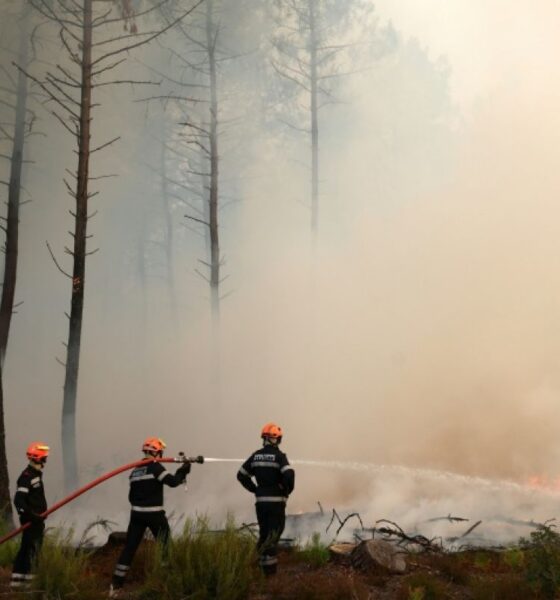 La Gironde suffoque face à un incendie qui atteint les portes de Bordeaux