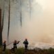 La Gironde suffoque face à un incendie qui atteint les portes de Bordeaux