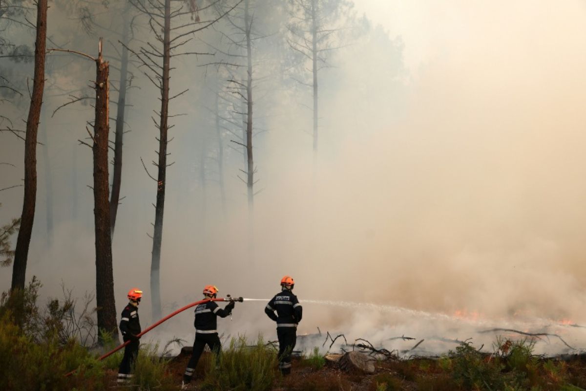 La Gironde suffoque face à un incendie qui atteint les portes de Bordeaux