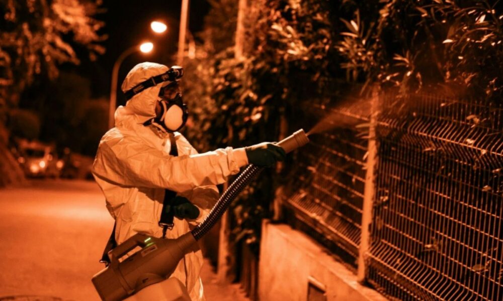Le moustique tigre propage chikungunya, dengue et virus du Nil dans le sud de la France