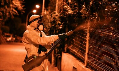 Le moustique tigre propage chikungunya, dengue et virus du Nil dans le sud de la France