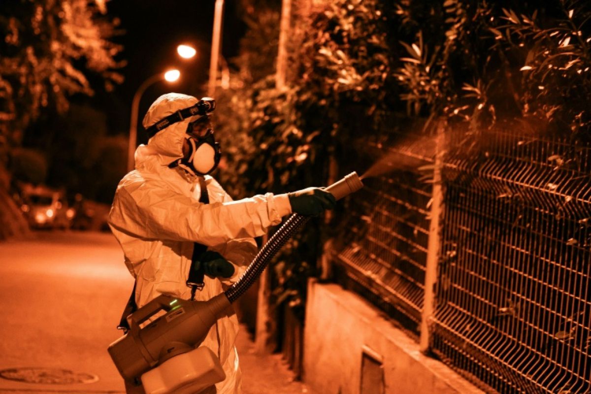 Le moustique tigre propage chikungunya, dengue et virus du Nil dans le sud de la France