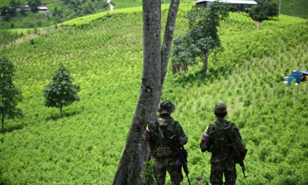 La guérilla colombienne affirme détenir un légionnaire en pleine santé