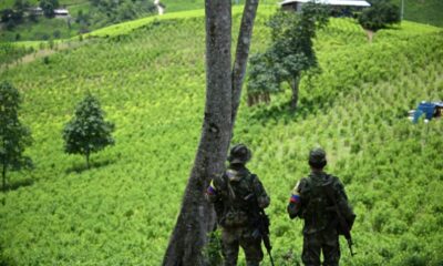 La guérilla colombienne affirme détenir un légionnaire en pleine santé