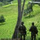 La guérilla colombienne affirme détenir un légionnaire en pleine santé
