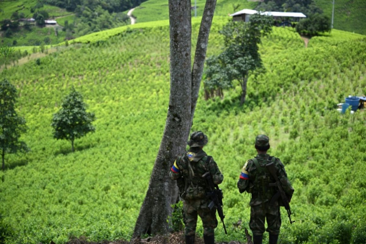 La guérilla colombienne affirme détenir un légionnaire en pleine santé