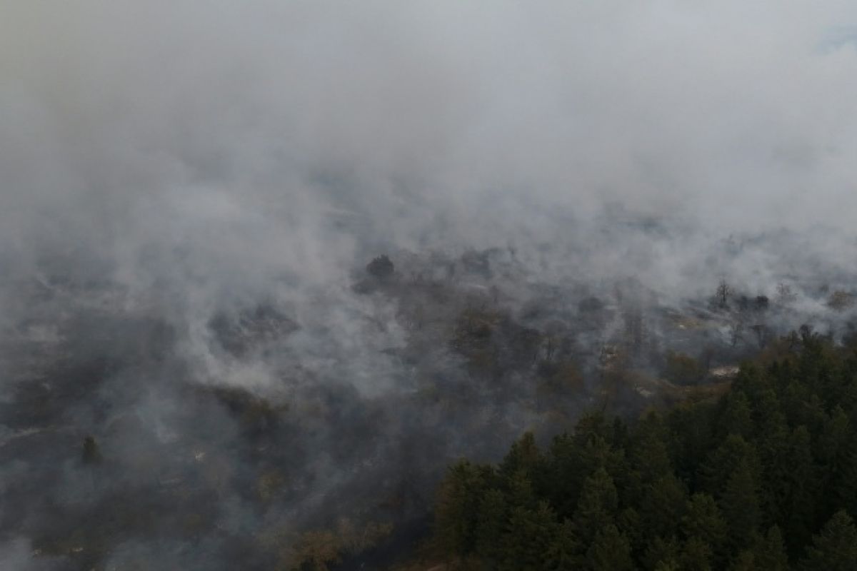 Un brasier record dans les Fagnes mobilise toute l’Europe