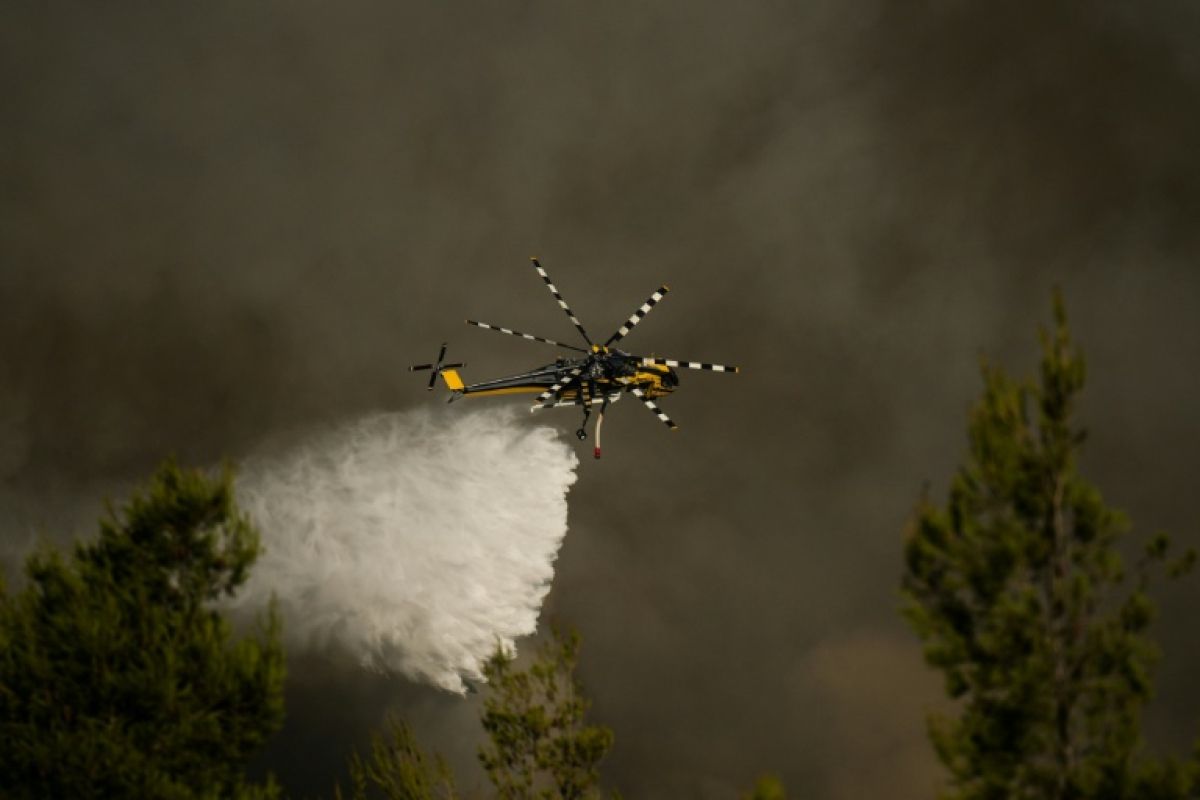 Athènes sous les flammes les avions bombardiers d'eau retrouvent le ciel
