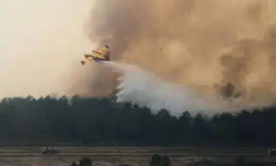 L'Europe sonne l'alarme sur les feux de forêt et réclame des investissements massifs