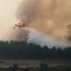 L'Europe sonne l'alarme sur les feux de forêt et réclame des investissements massifs