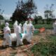 Ebola s'étend plus vite que la riposte en RDC