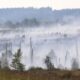 Un feu géant a ravagé 3 000 hectares en Belgique et les pompiers voient enfin le bout