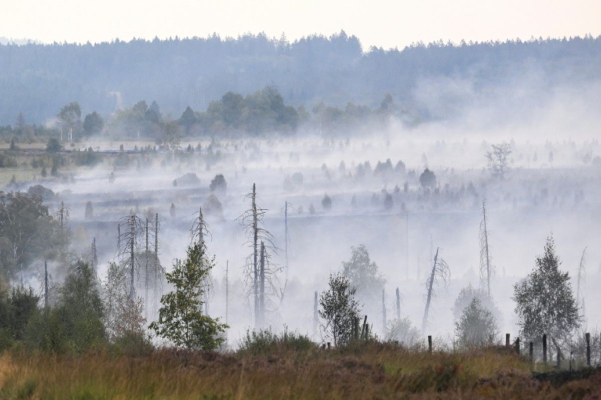 Un feu géant a ravagé 3 000 hectares en Belgique et les pompiers voient enfin le bout