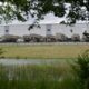 Les data centers de l’IA empoisonnent un quartier noir de Memphis