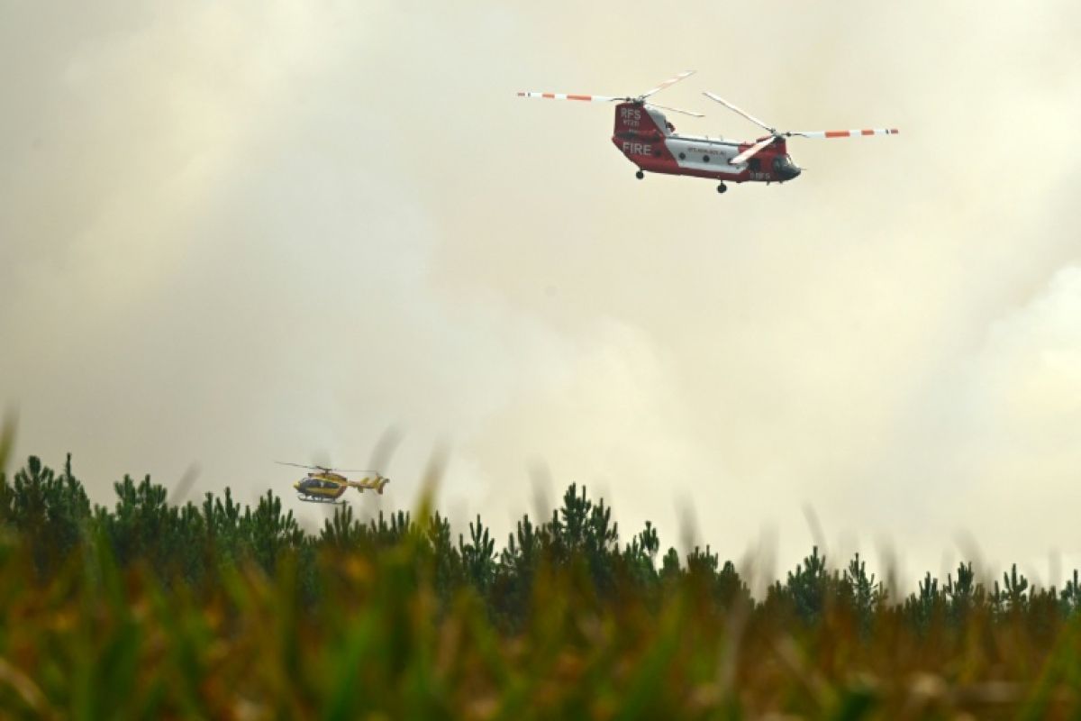 Le feu ralentit dans les Landes et la pluie se fait espérer