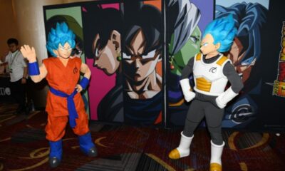 Un parc Dragon Ball pourrait surgir dans le Val-d'Oise