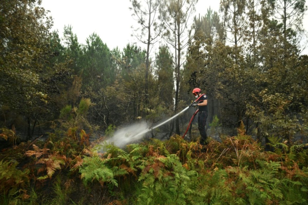 Les Landes retiennent leur souffle face à un incendie enfin stable