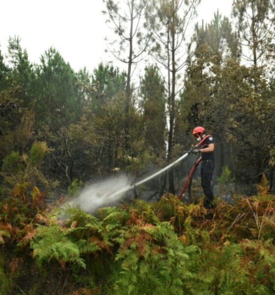 Landes, le feu recule pour la première fois mais personne ne crie victoire