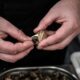 En Bourgogne, les escargots grillent sous la canicule et une filière doute de son avenir