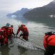 Les narvals, nouveaux espions du climat arctique