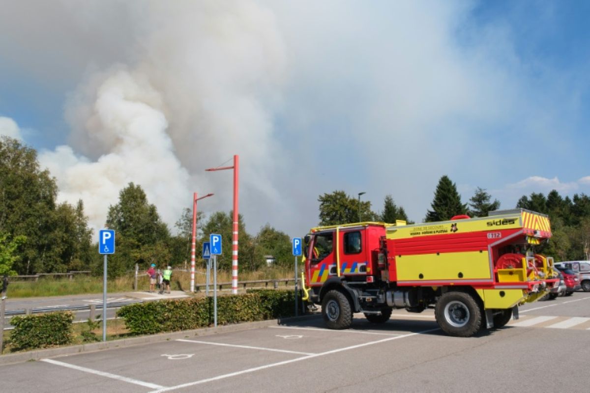 Un brasier géant ravage les forêts belges et met un village sous tension