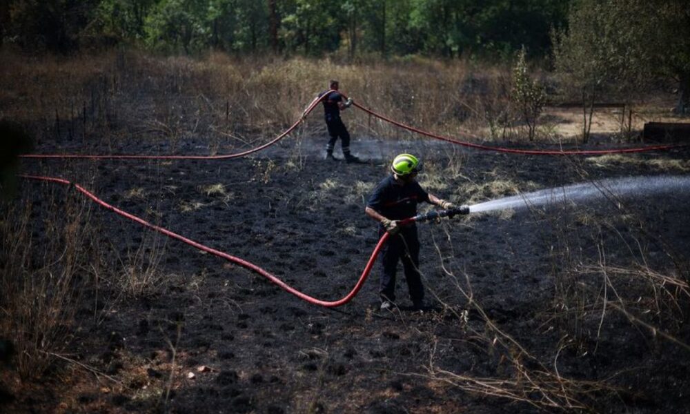 Feux de forêt, la lutte continue dans le Sud