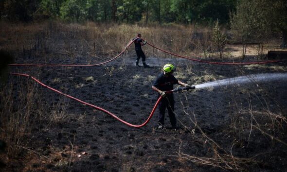 Feux de forêt, la lutte continue dans le Sud