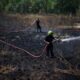 Feux de forêt, la lutte continue dans le Sud