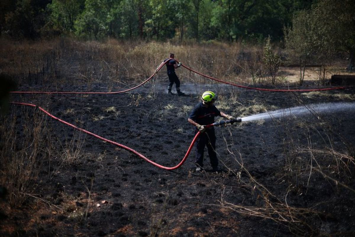 Feux de forêt, la lutte continue dans le Sud