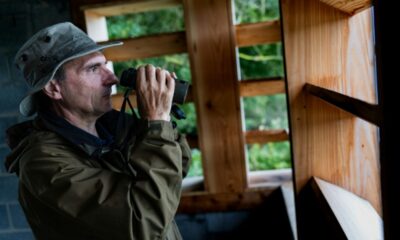 Des canards en papier contre la chasse à la frontière d'un marais protégé