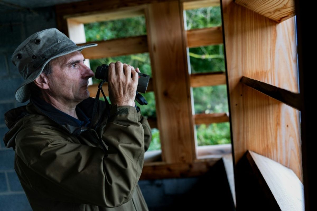 Des canards en papier contre la chasse à la frontière d'un marais protégé