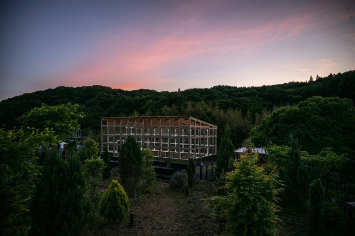 Au Japon, la terre et le compost suffisent à allumer 800 LED